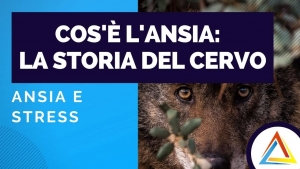 Cos'è l'ansia-ansia-eccessiva-Miniatura
